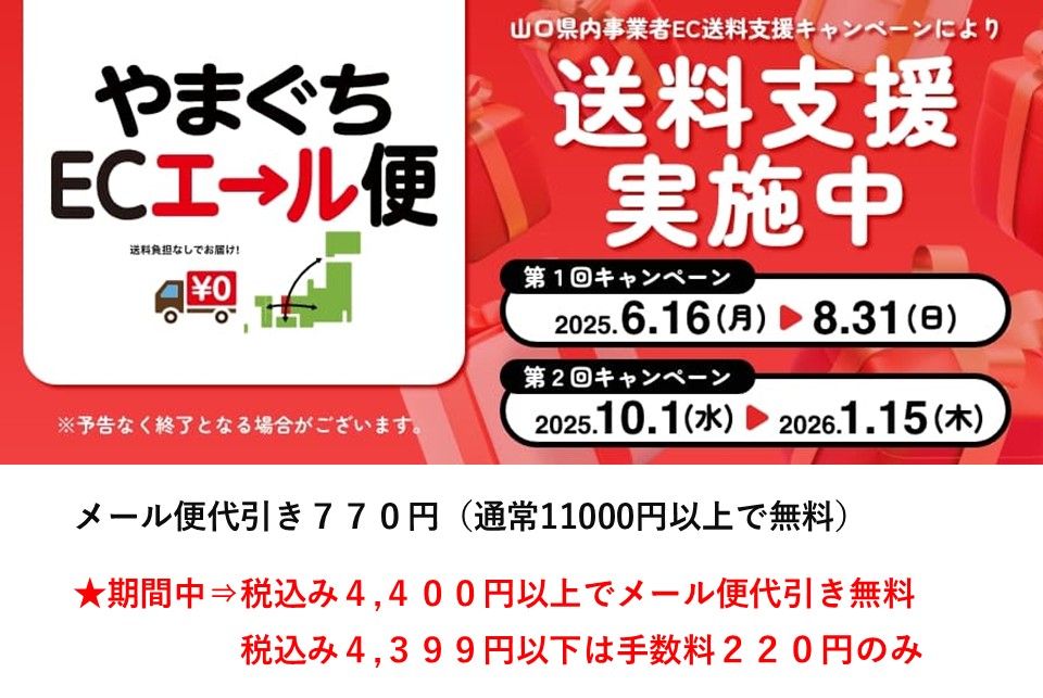 10％OFF  股上深め【エリゼ茶：オーガニックコットン100％】S～２Lサイズ