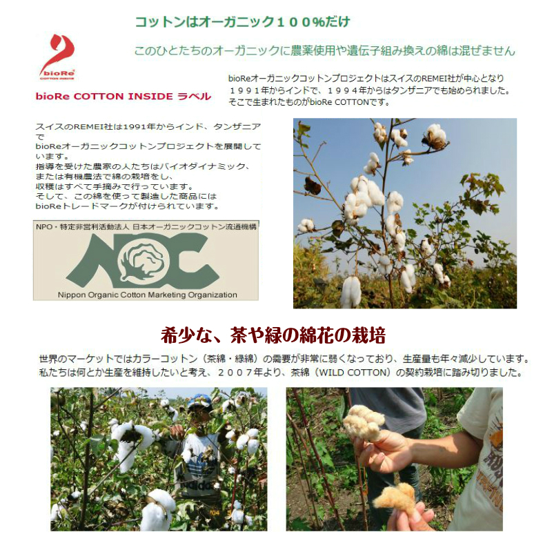 ☆【25％OFF】スタンダード幅【エリゼ茶】Ｓ～２Ｌサイズ