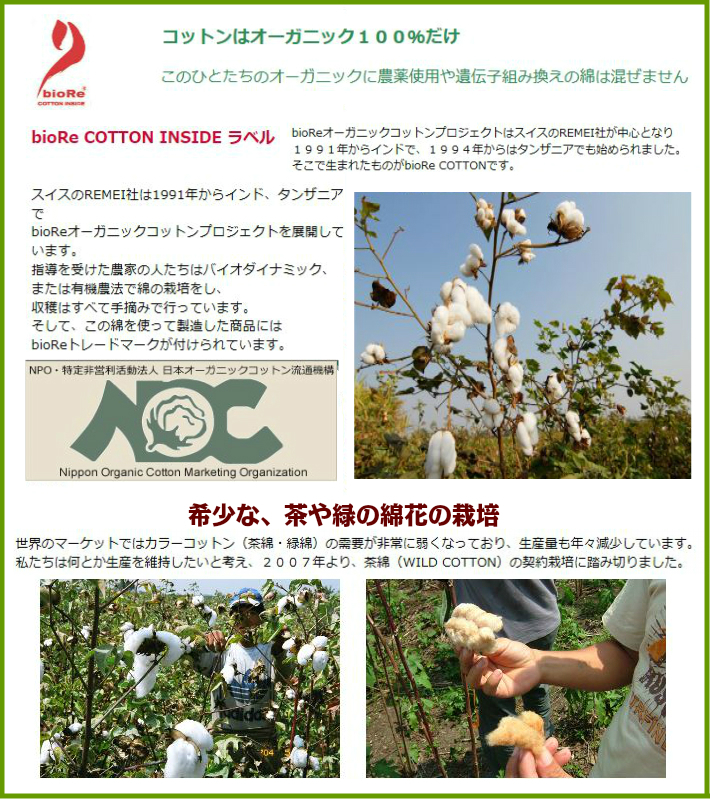 【300円OFF】ストレッチレース【エリゼ茶】M～2Lサイズ