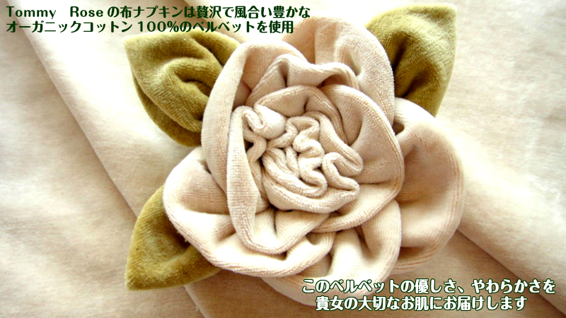 《40％OFF》　布ナプキン【Ｍサイズ２枚】