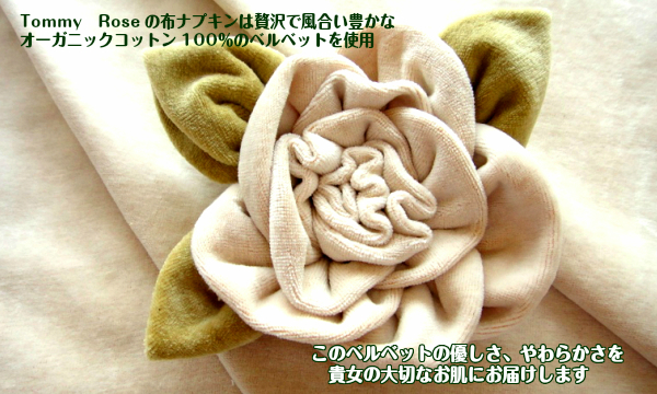 布ナプキン【ナイトホルダー】夜用10％OFF