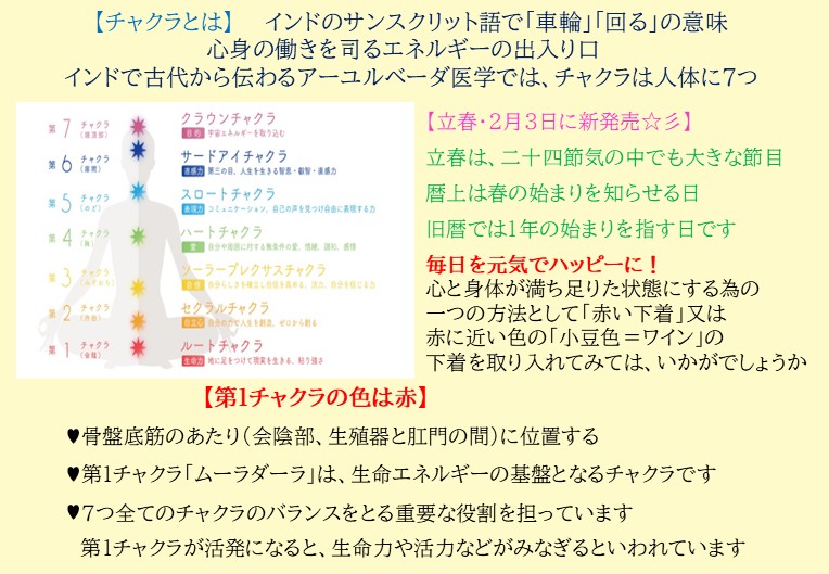 テープ仕上げ：スレースふんどしショーツ　Ｌ／２Ｌサイズ