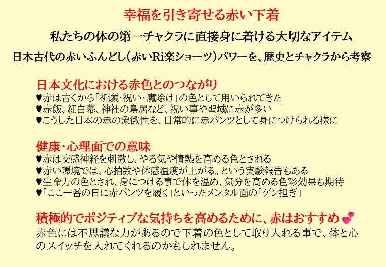 テープ仕上げ：スレースふんどしショーツ　Ｌ／２Ｌサイズ