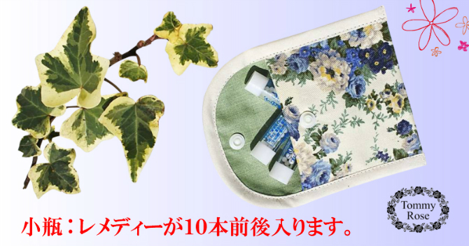 レメディーポーチ【ミニ】10%OFF
