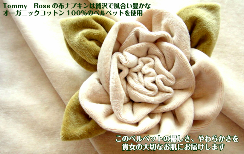 おりものライナー（十字型）２枚35％OFF　４枚42％OFF