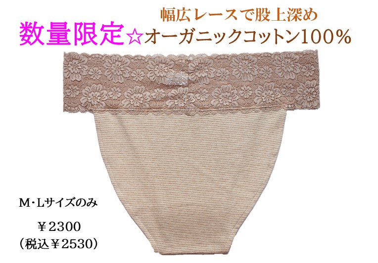 １５%OFF 茶ボーダー：オーガニックコットン１００％　M・L￥2300　