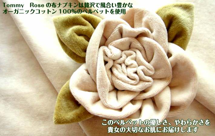 ☆40％OFF【布ナプキン】1クールセット