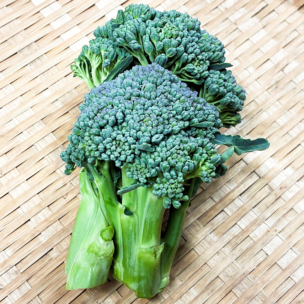 【新鮮豊受野菜】豊受ブロッコリー・ドシコ