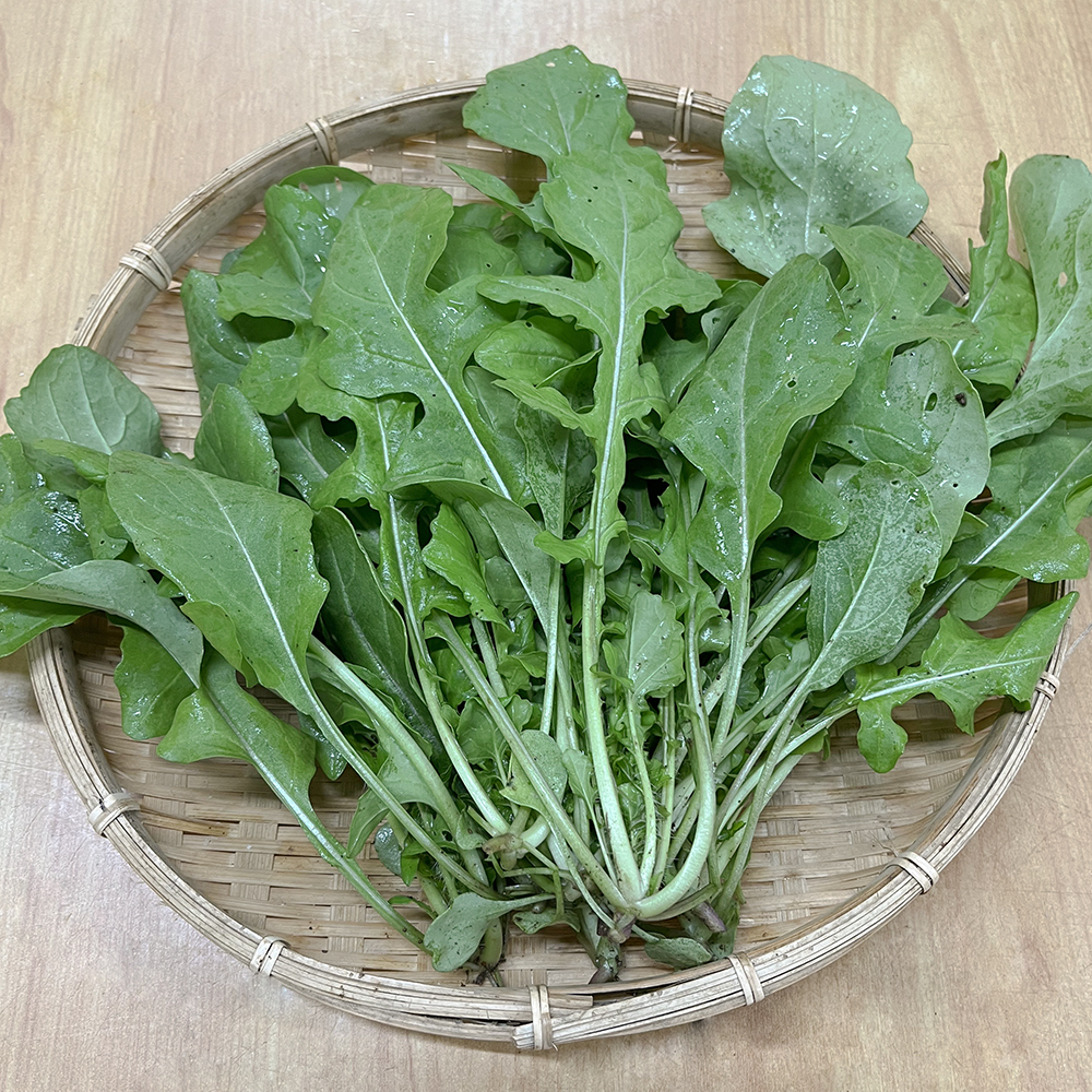 【新鮮豊受野菜】豊受のルッコラ