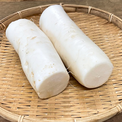 【新鮮豊受野菜】豊受みの早生大根（カット、葉なし）