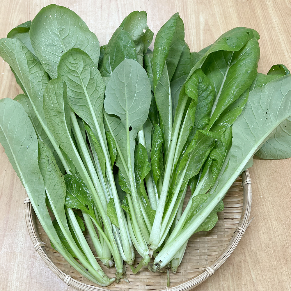 【新鮮豊受野菜】豊受菜（豊受の小松菜）