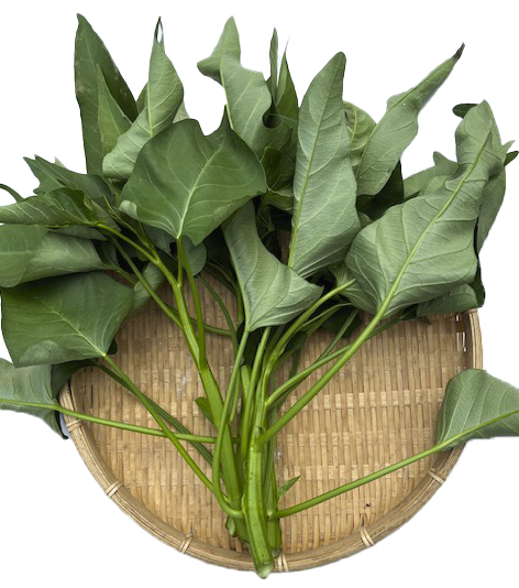 【新鮮豊受野菜】空芯菜