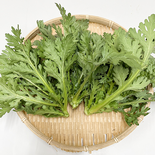 【新鮮豊受野菜】春菊（中葉）