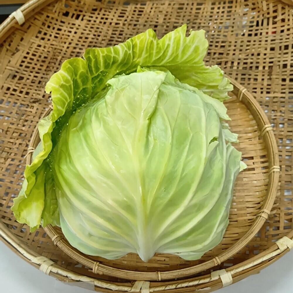 【新鮮豊受野菜】キャベツ（サクセッション）800g以上