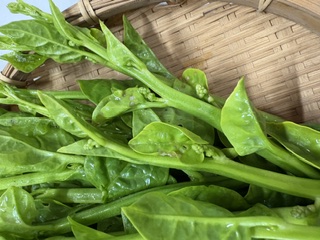 【新鮮豊受野菜】ツルムラサキ　150g