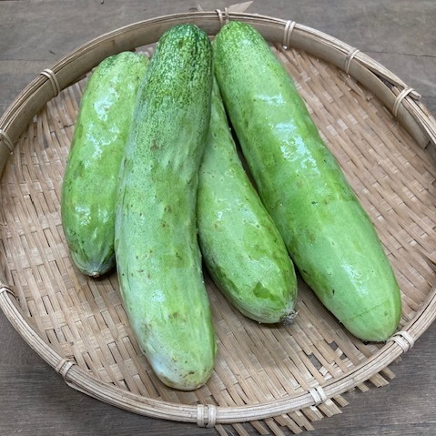 【新鮮豊受野菜】豊受キュウリ 1kg