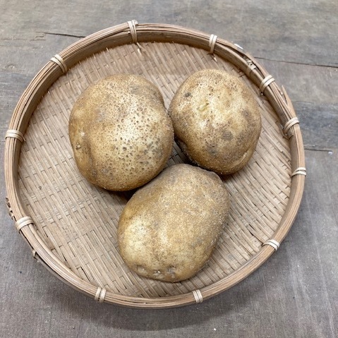 【新鮮豊受野菜】豊受じゃがいも・出島（約500g）
