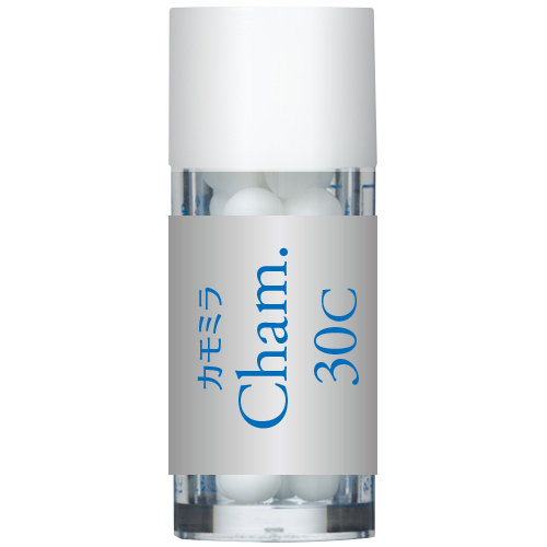 Cham カモミラ 30C 小