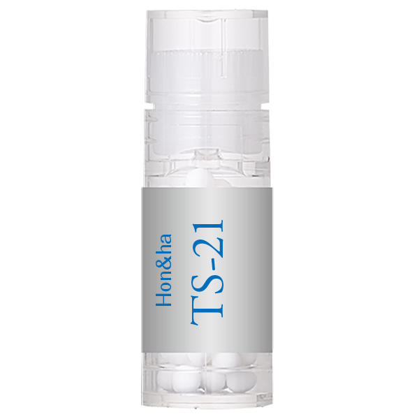 TS-21(Hon & ha) 大