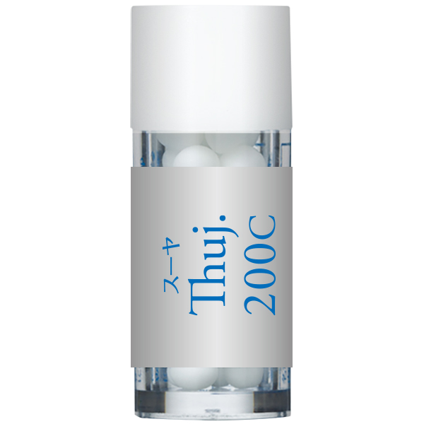 Thuj スーヤ 200C 小