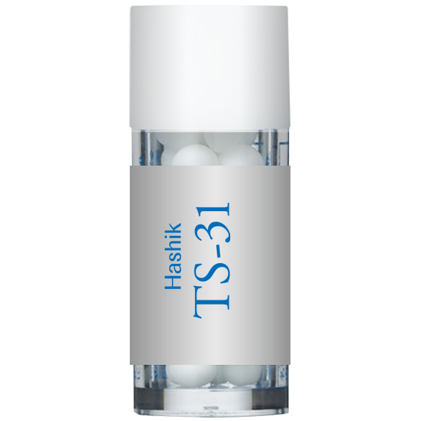 TS-31(Hashi) 小