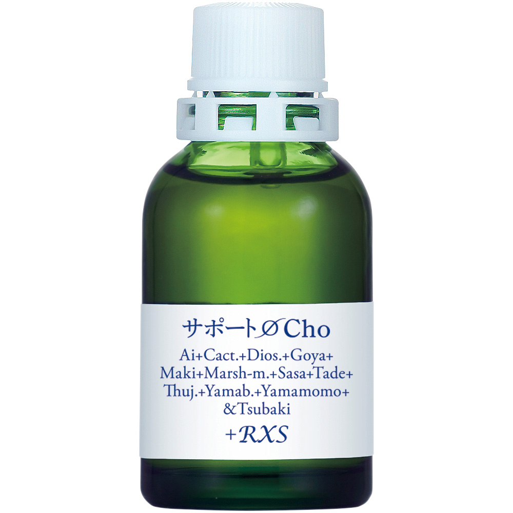 MT)サポートφCho
