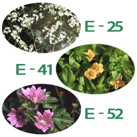 FE)C-07 リベレーション