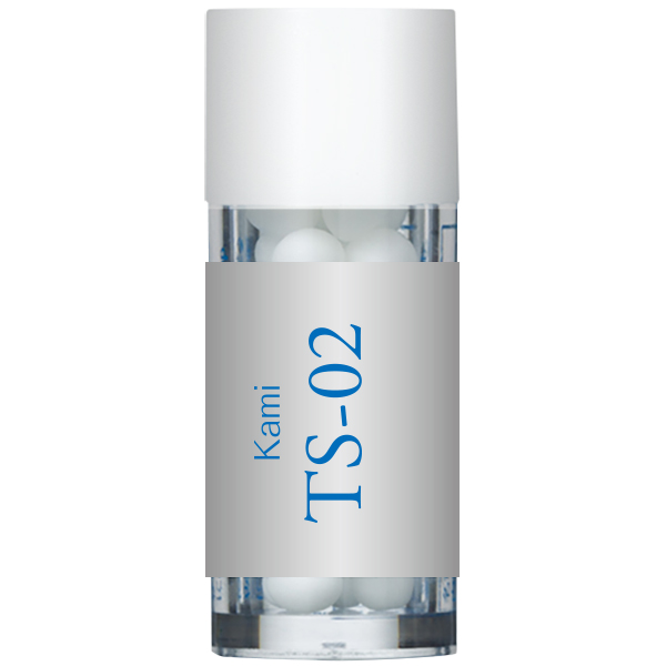 TS-02(Kami) 小