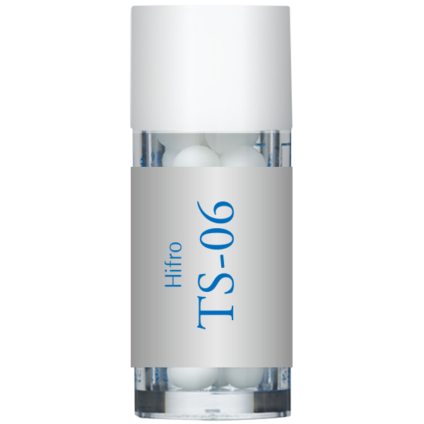 TS-06(Hifro) 小
