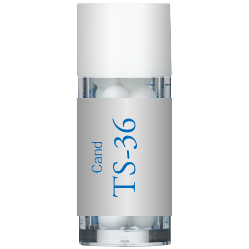 TS-36(Cand) 小