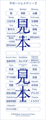 バラ13.　自分で貼るレメディーシール（サポート②）