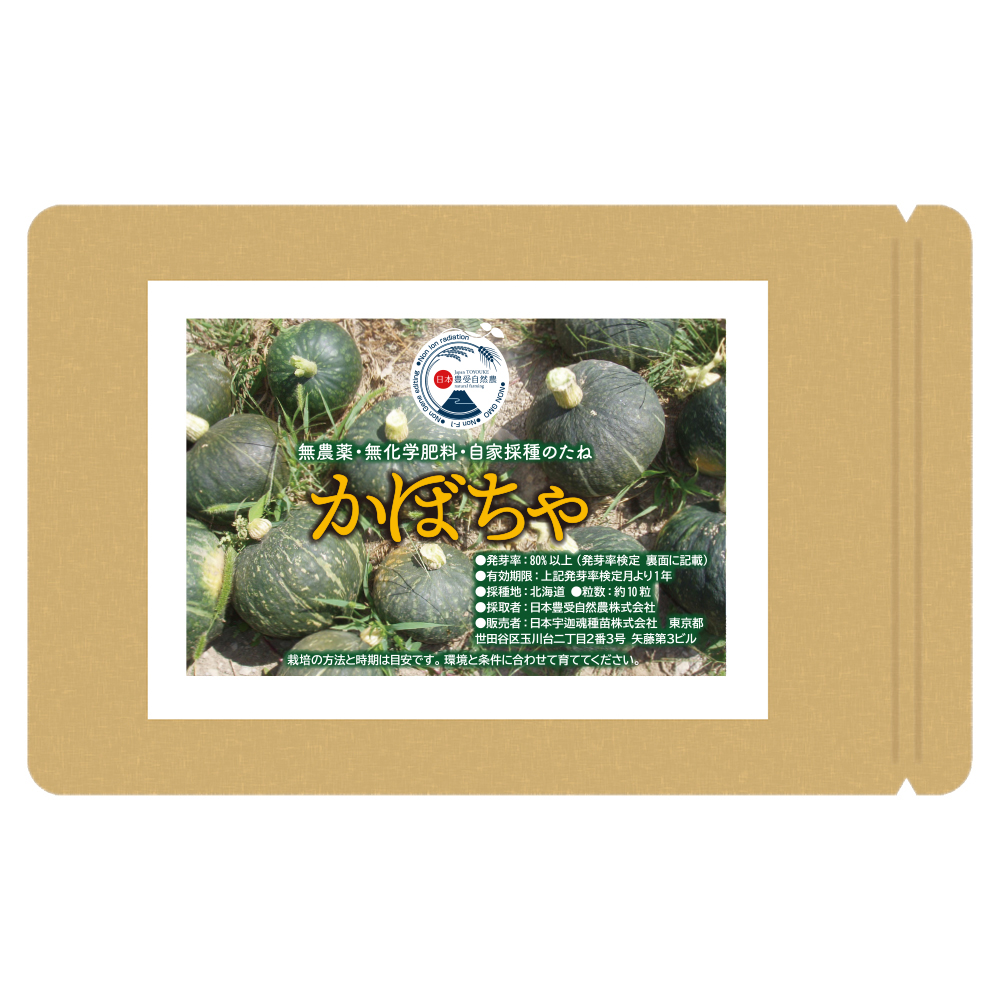 宇迦魂の種　かぼちゃ