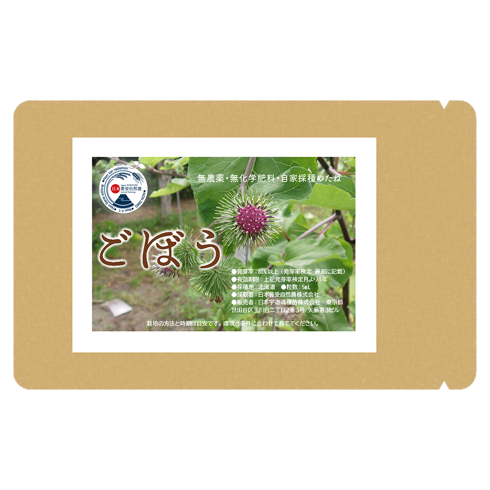 宇迦魂の種　ごぼう