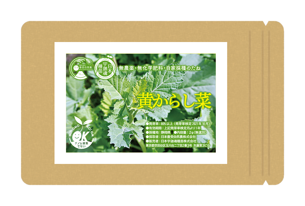 宇迦魂の種　黄からし菜