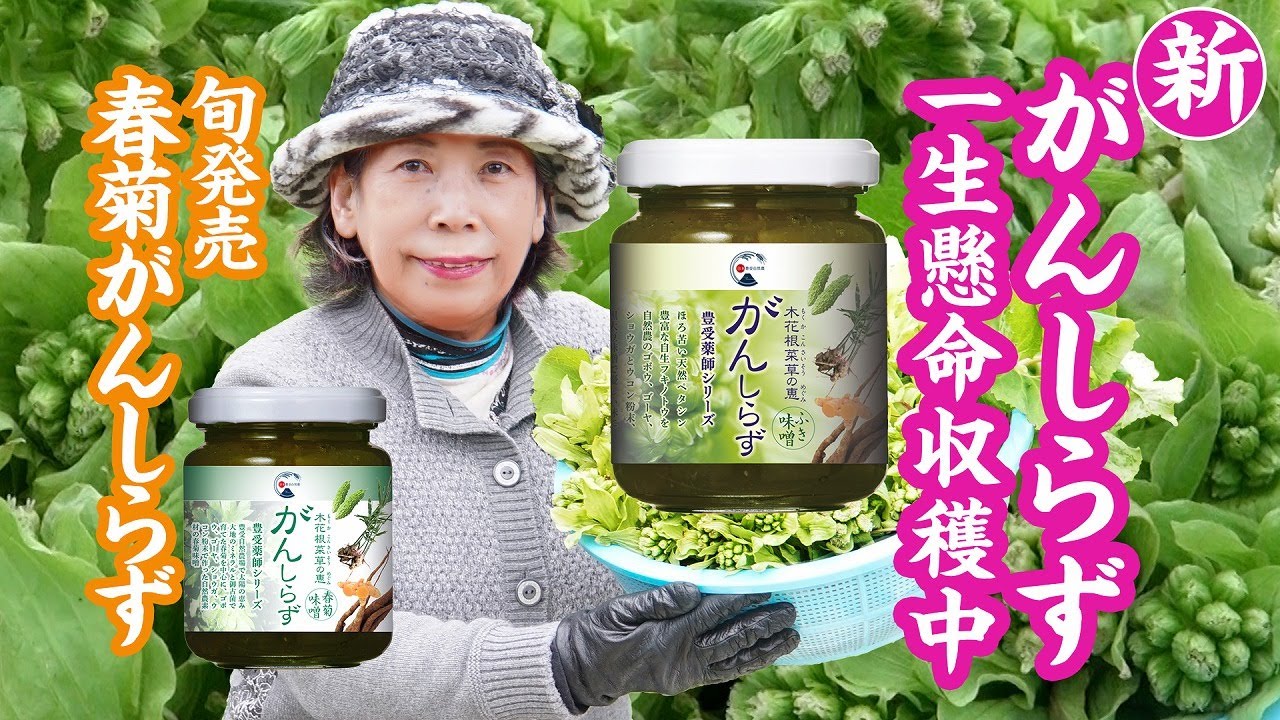 トレバーガンしらず（春菊ふき味噌）