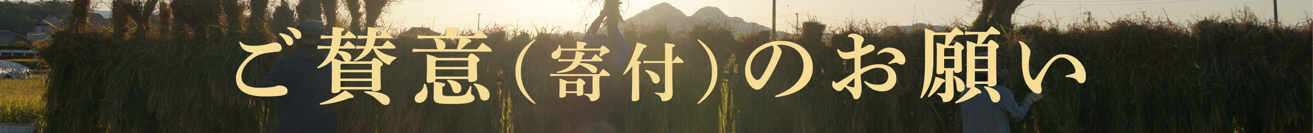 ご賛意（寄付）のお願い