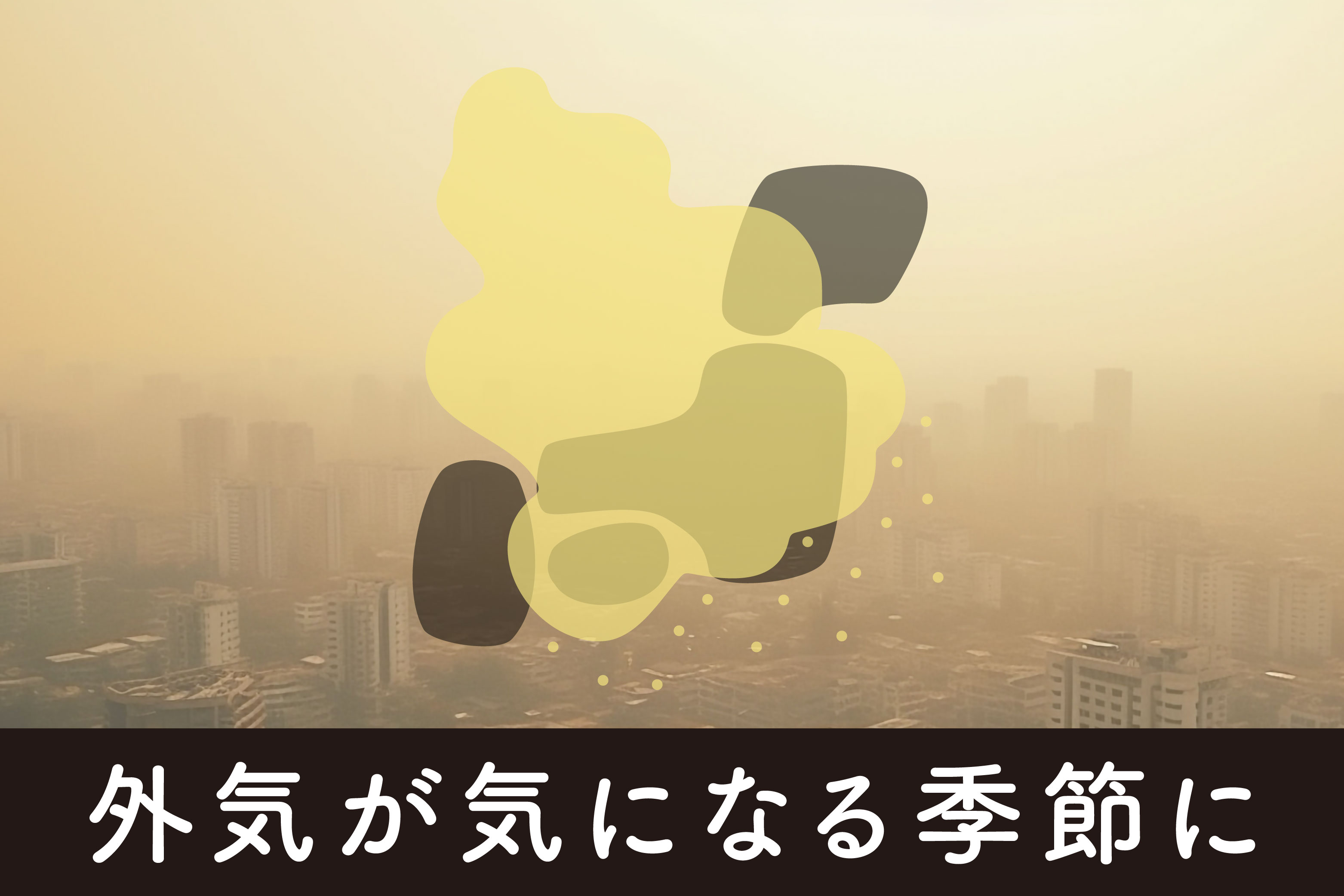 バナー画像