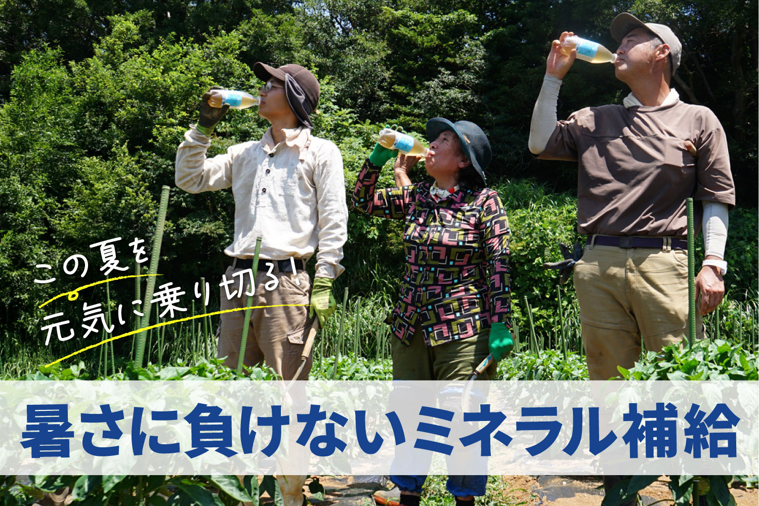 バナー画像